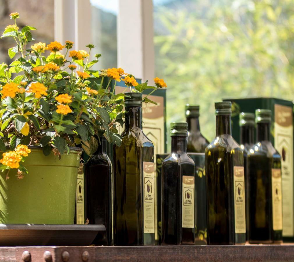 Agriturismo Terre Degli Angeli Pietra Ligure Luaran gambar